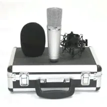 Студийные конденсаторные микрофоны INVOTONE SM150B-0